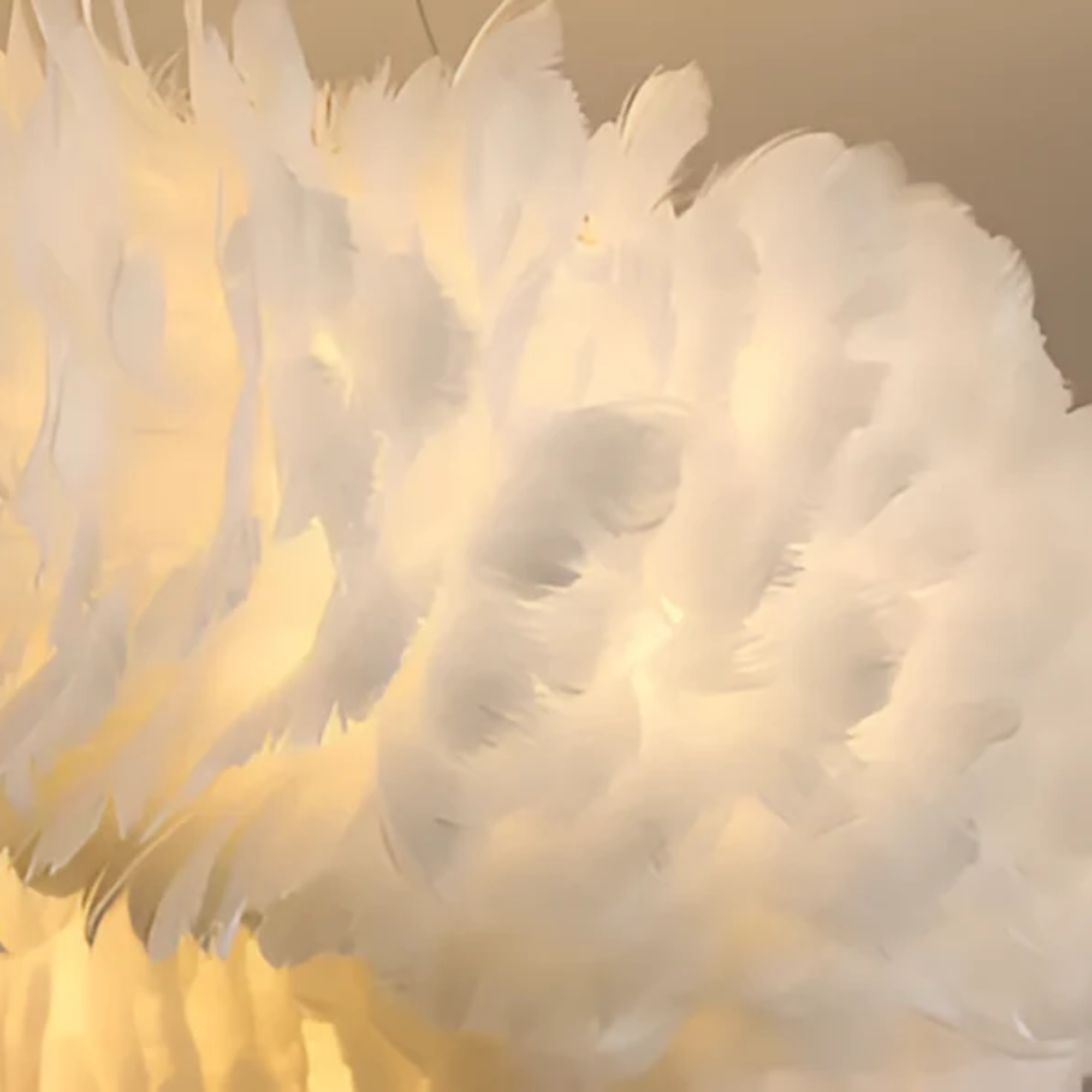 Mienel Novalume Circular White Feather Pendant Light with Soft Diffusion