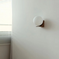 Liora Wall Sconce | Mienel