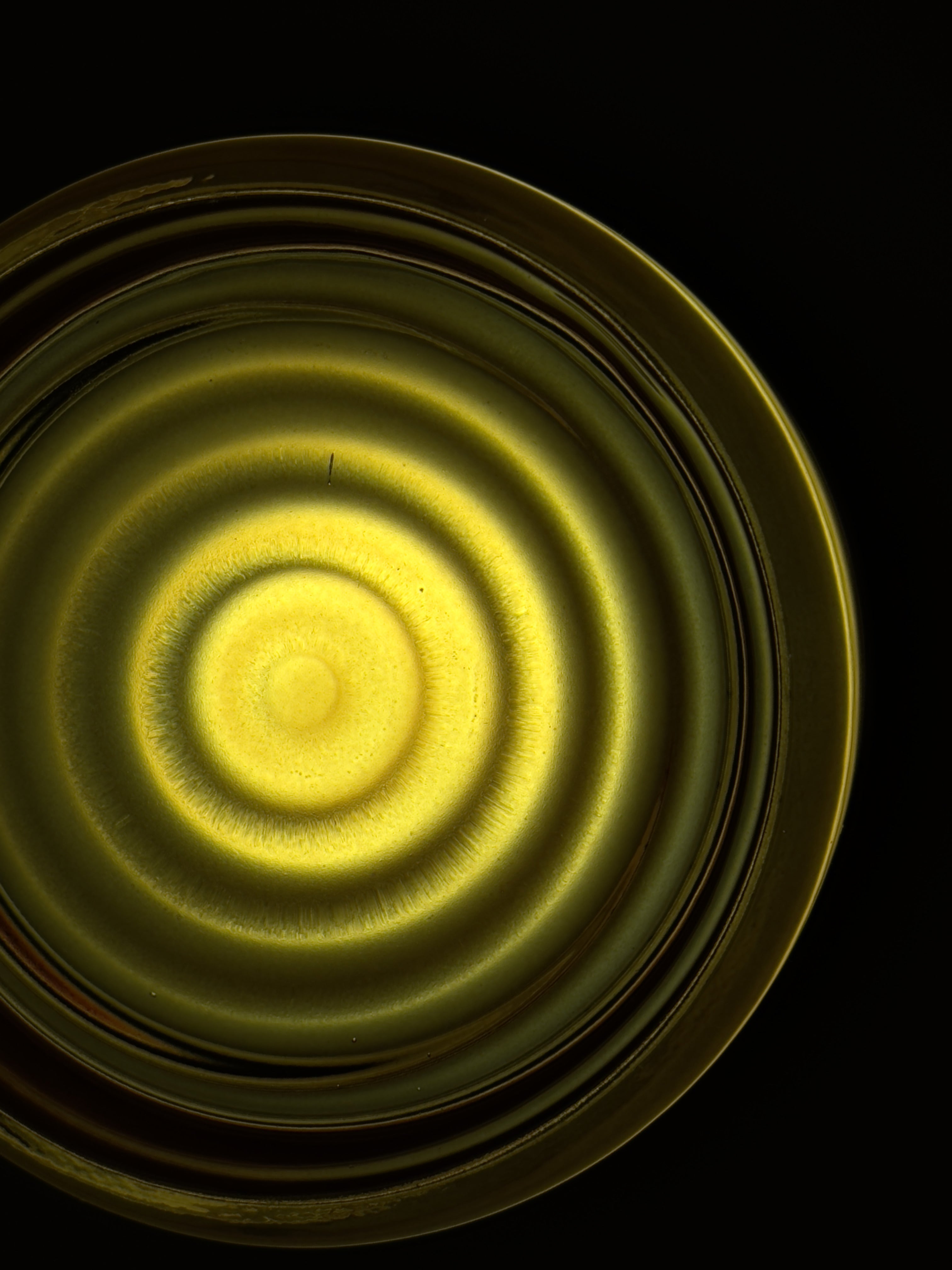 Lunara Sconce Collection | Mienel