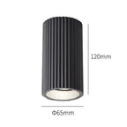 Lyra Lamp Collection | Mienel