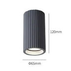 Lyra Lamp Collection | Mienel