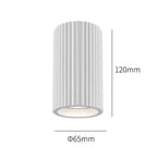 Lyra Lamp Collection | Mienel