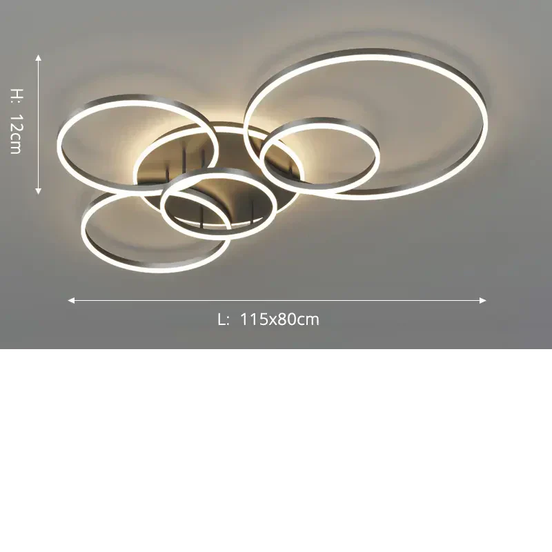 Mienel Arion Black Metal Ceiling Light With Open Geometric Design