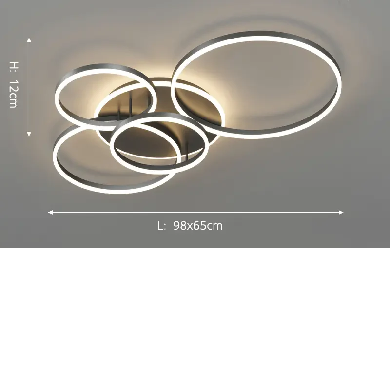 Mienel Arion Black Metal Ceiling Light With Open Geometric Design